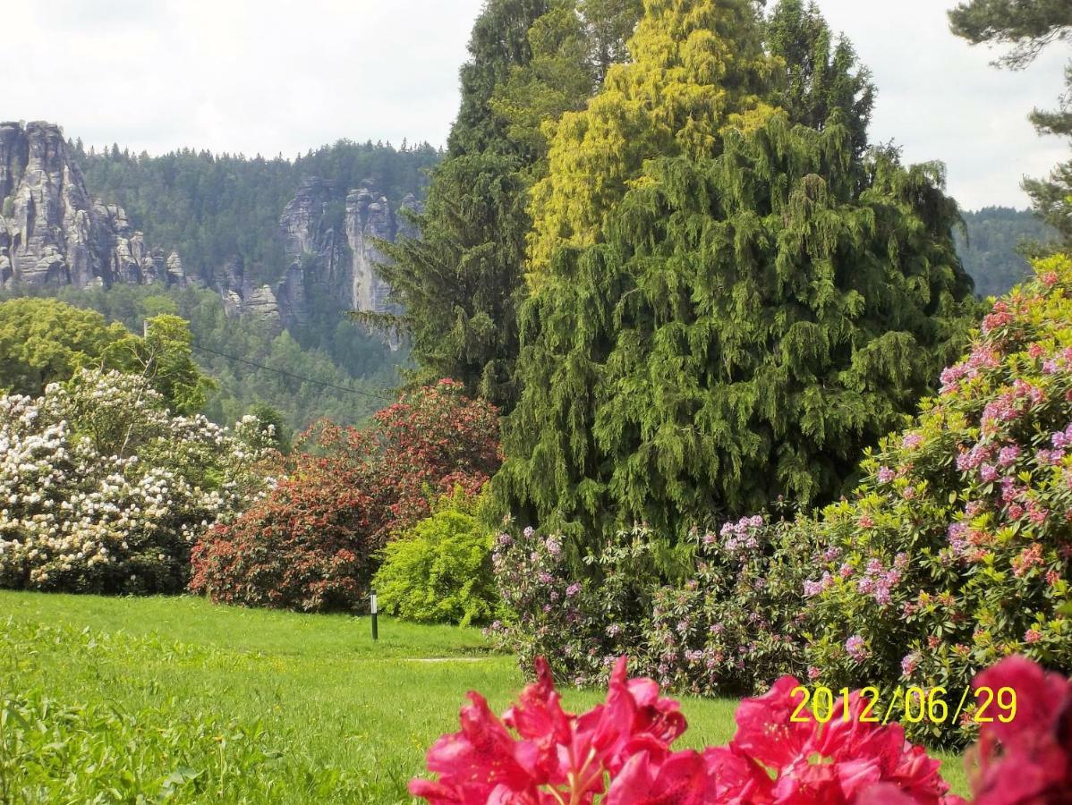 Ferienwohnung Zum Lilienstein Bad Schandau Eksteriør bilde